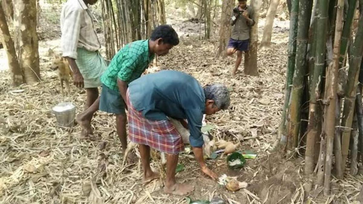 Community Forest Rights yield revenue for tribals