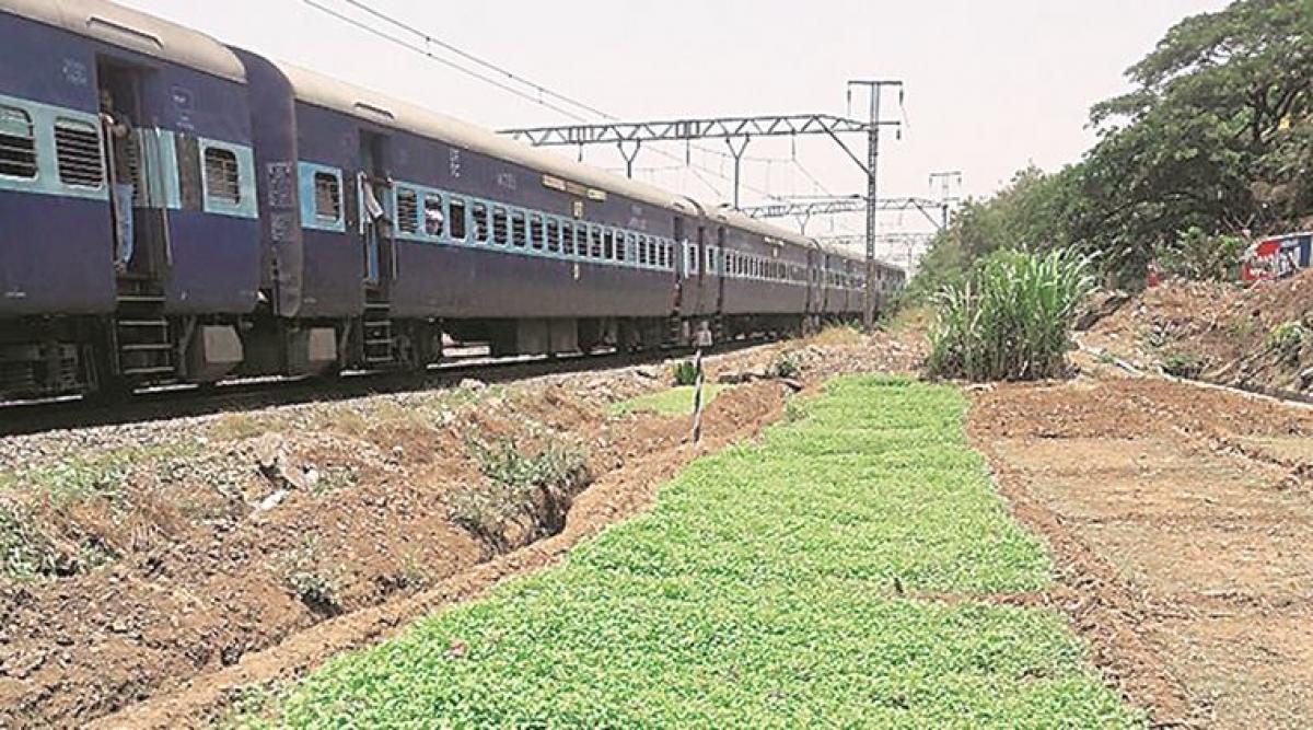 On-duty Rail engineer killed as train runs over him in Mumbai