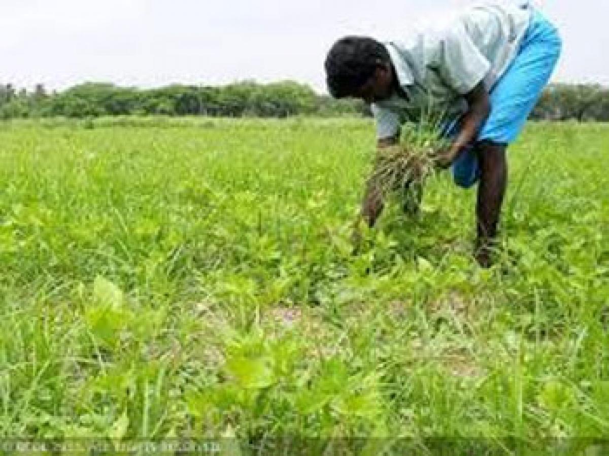 Now FDI in Agriculture