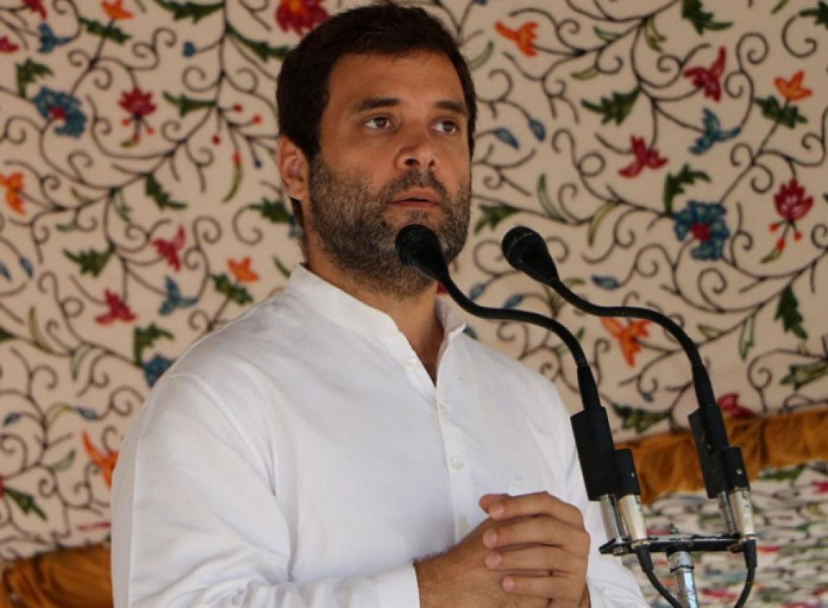 Rahul Gandhi: Modi busy globetrotting instead of looking into farmers issues