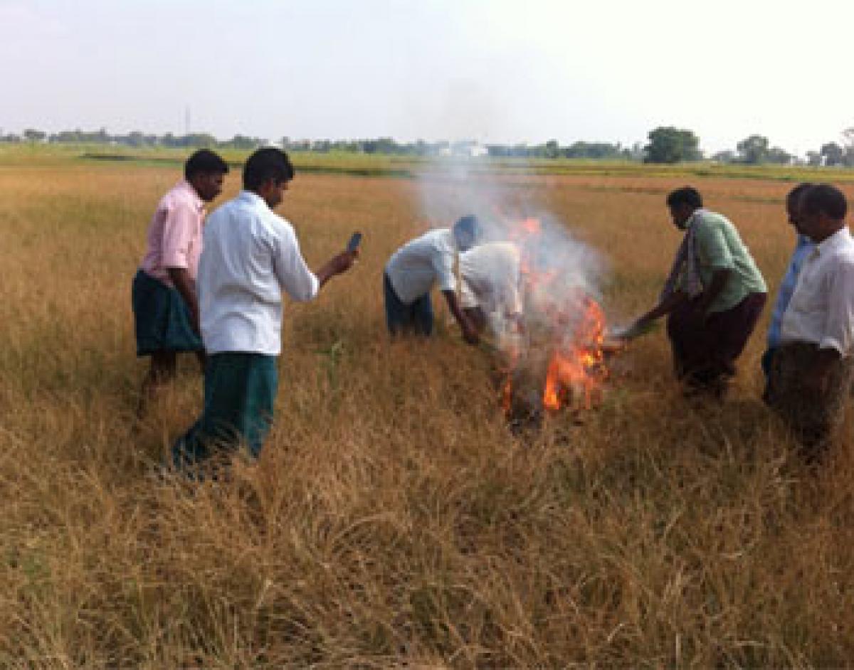 Plea to declare Bodhan mandal drought-hit