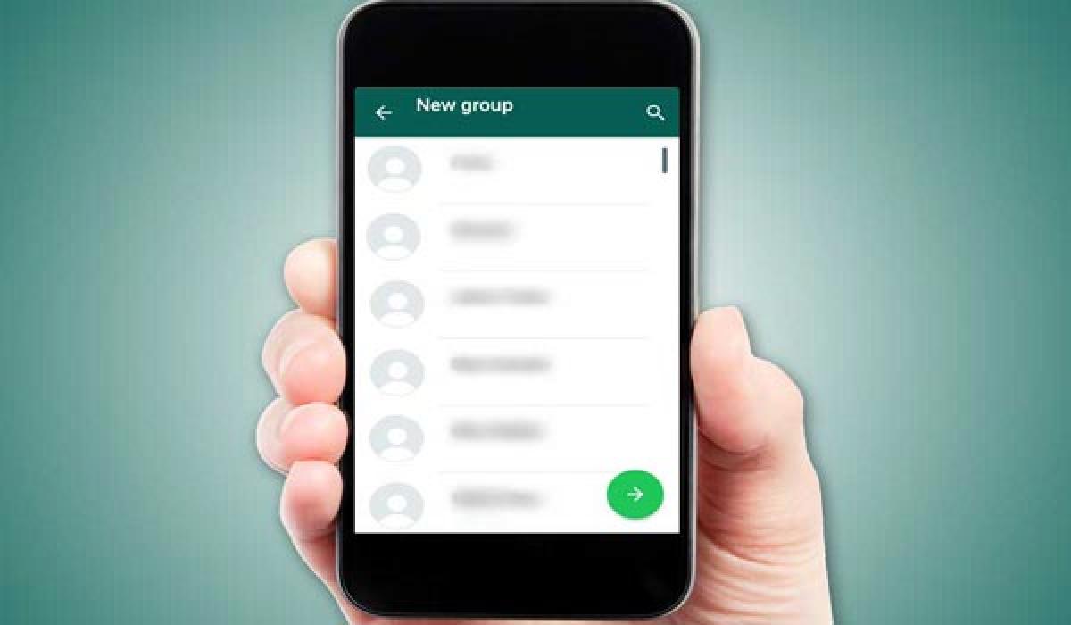 Pakistan Cabinet ministers on WhatsApp