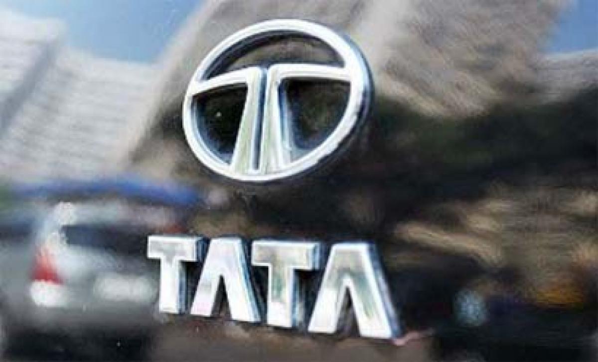 Tata bets big on Zica for revival