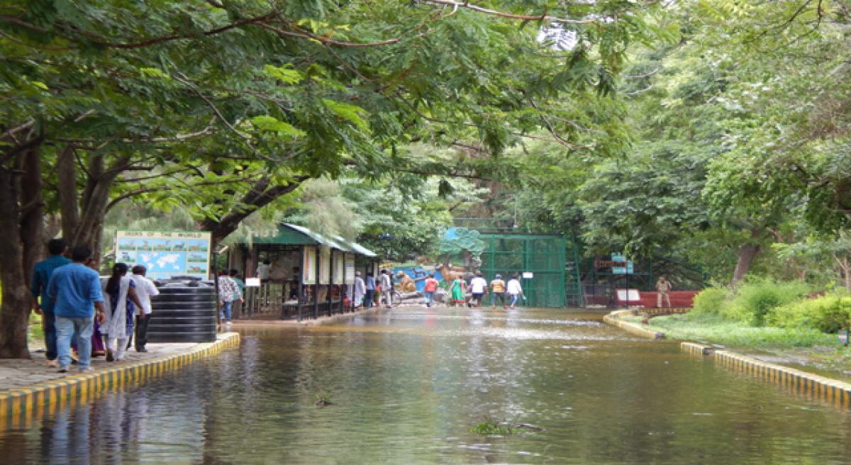 Safari Park closed at zoo