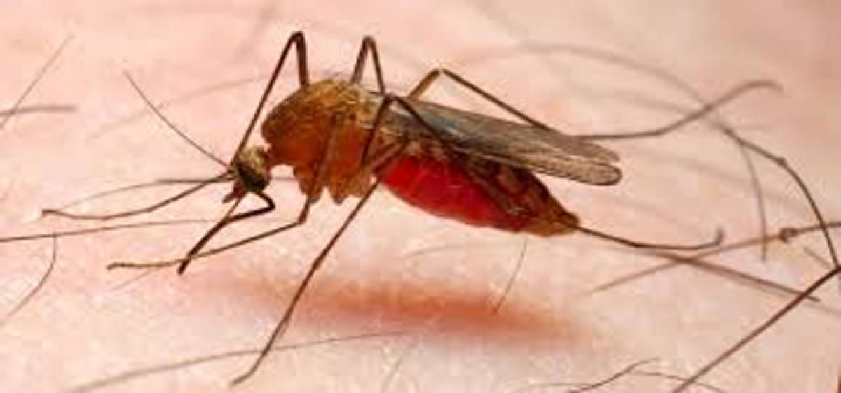 Malaria kills a tribal girl