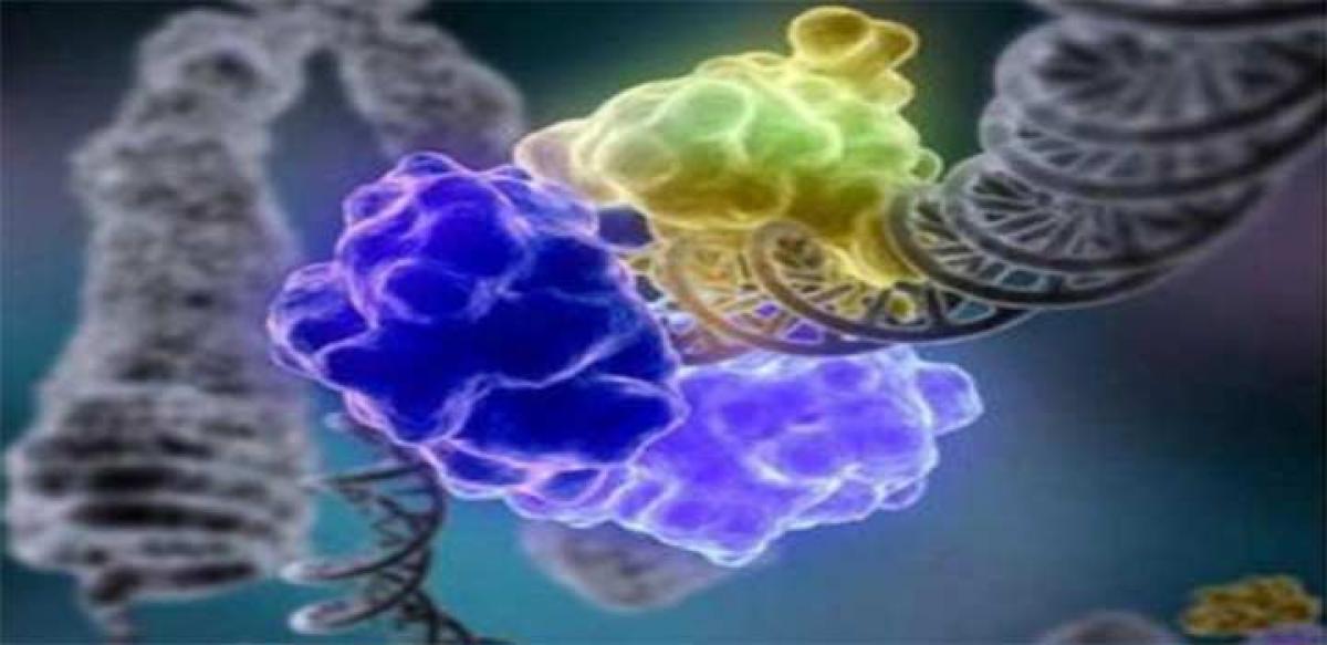 Your genes responsible for cancer treatment outcomes