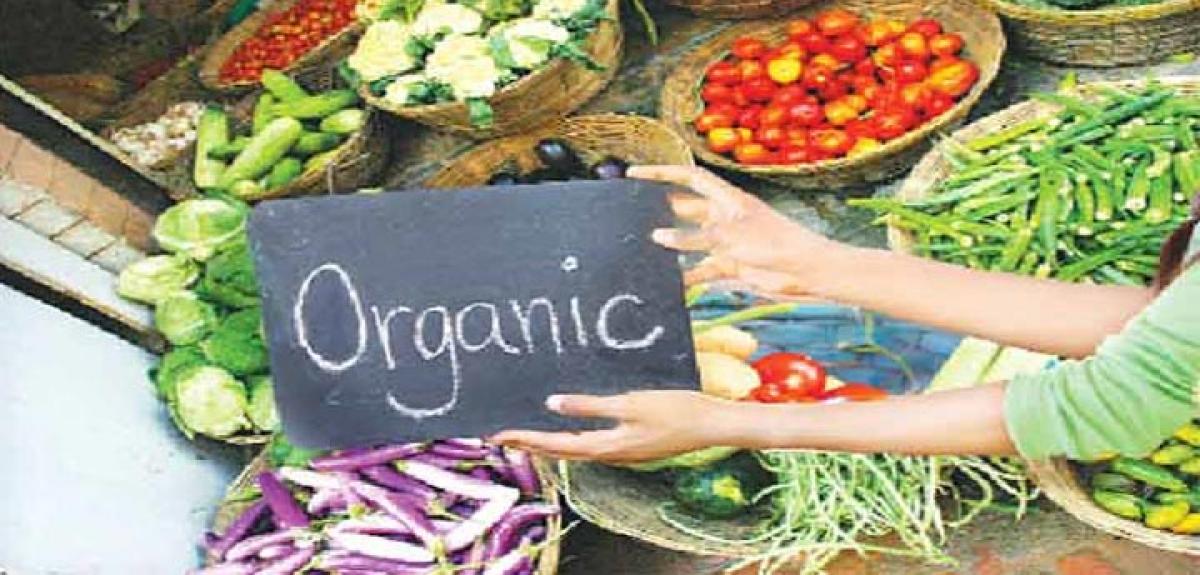 Organic farming gaining popularity in Anantapur