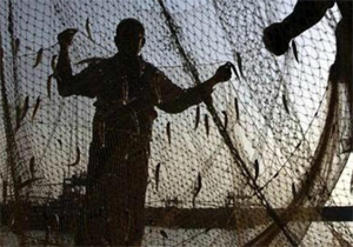 88 Pakistani fishermen lodged in Indian jails freed