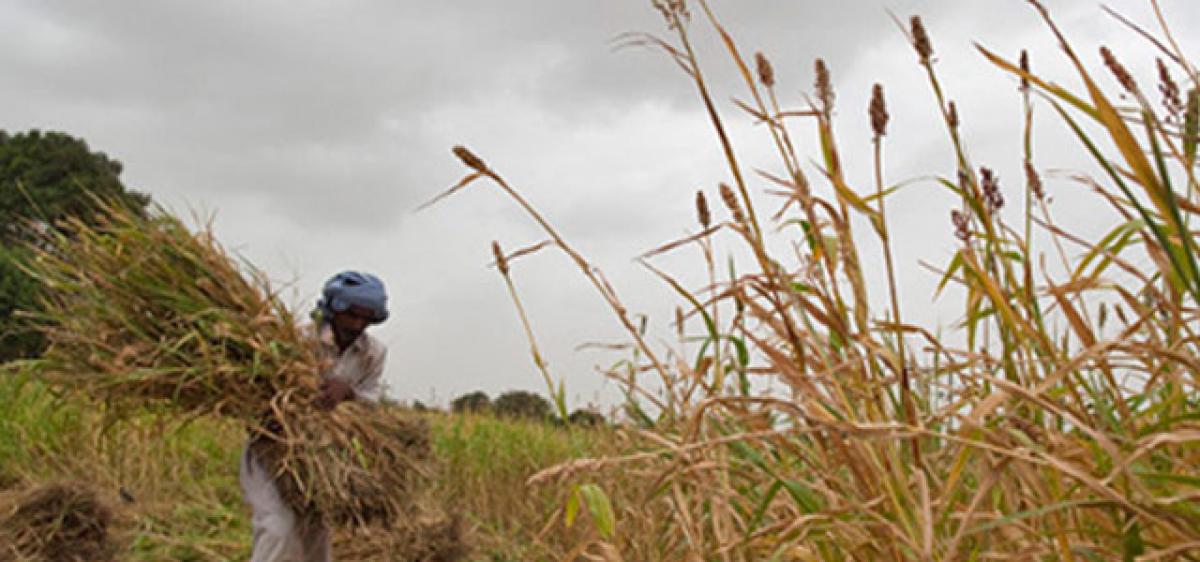 Pulls up govt on loan waiver