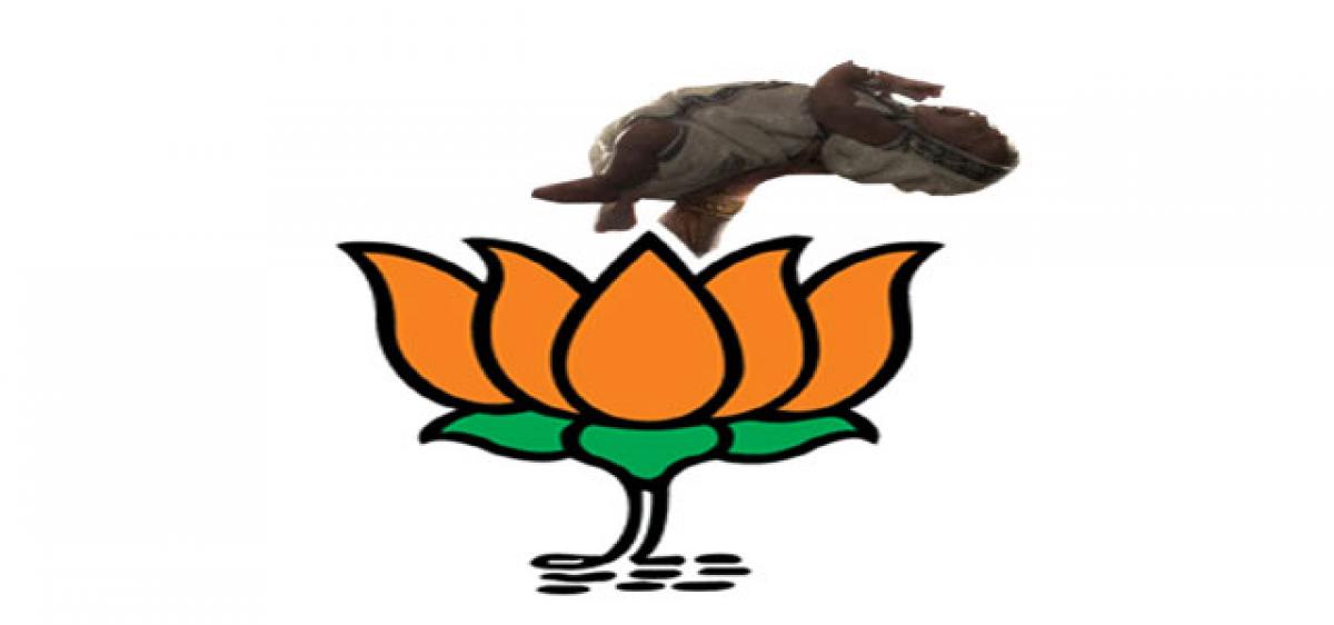 BJP too envisions rise of a Bahubali within party