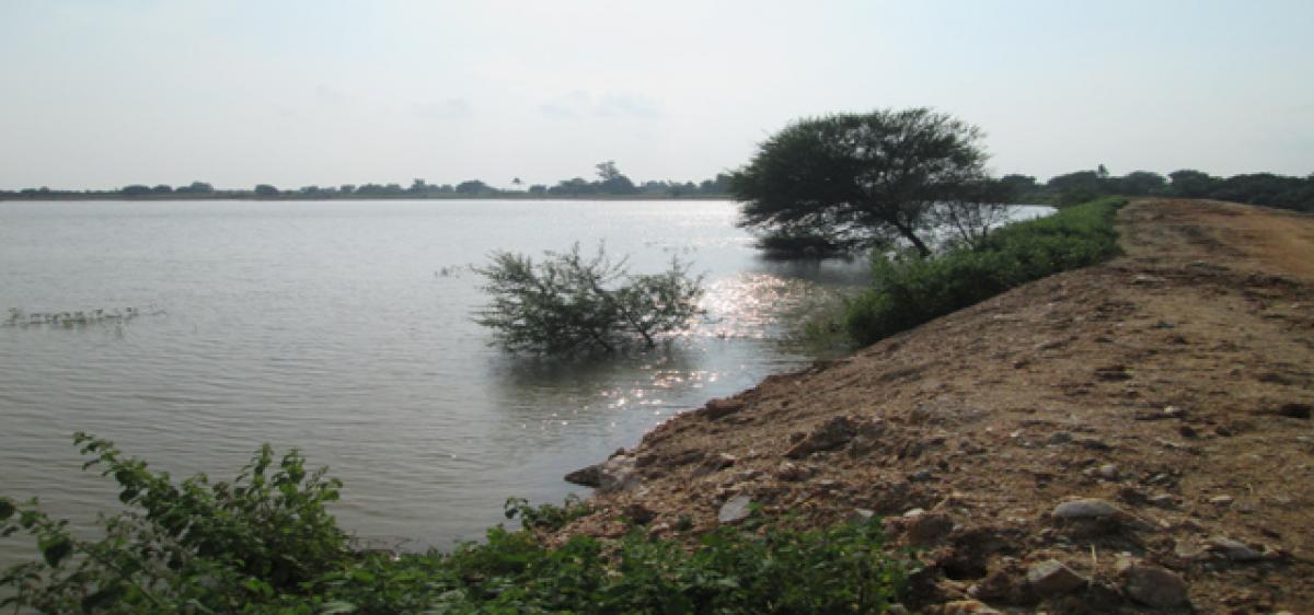 Cracks in tank bunds worry farmers in Medak