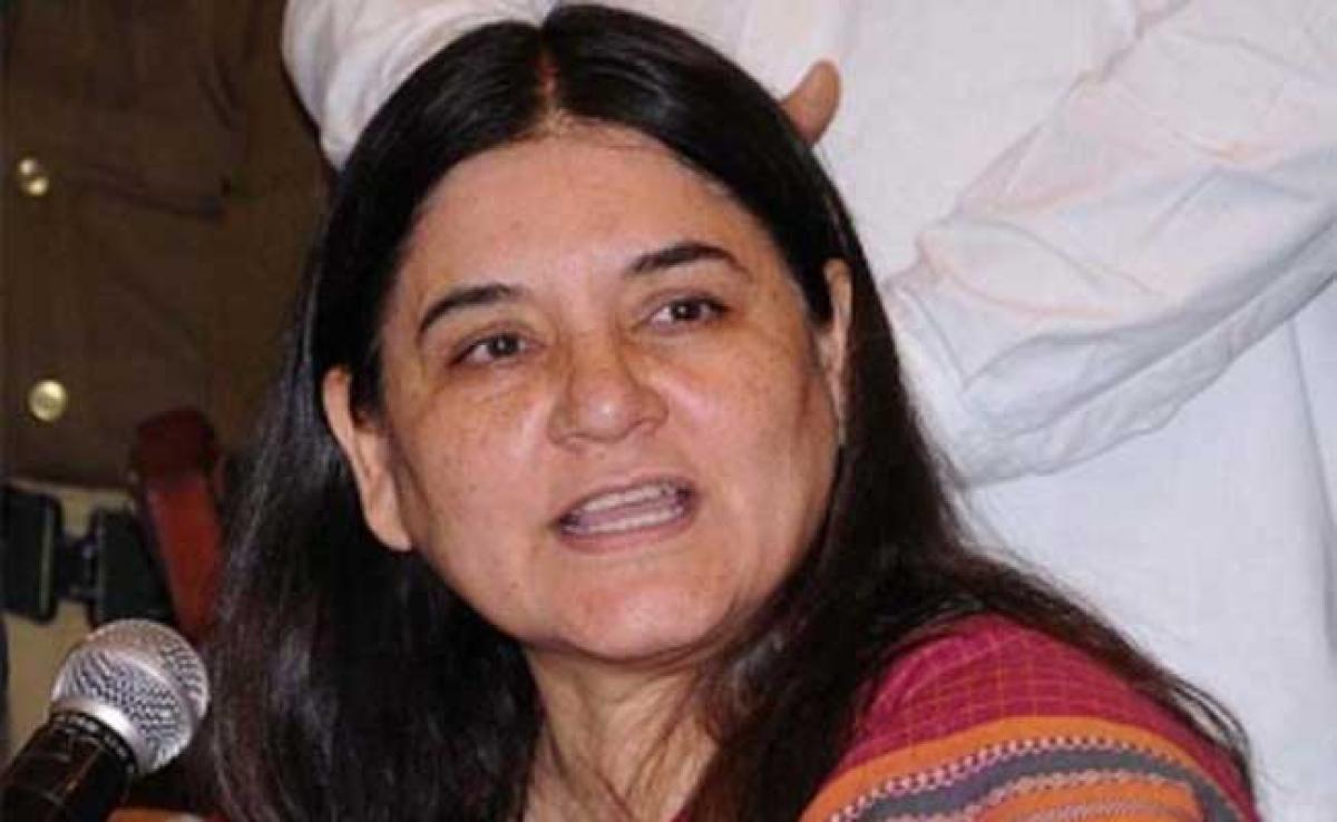 Maneka Gandhi Urges Barack Obama To Skip Running Of The Bulls Event