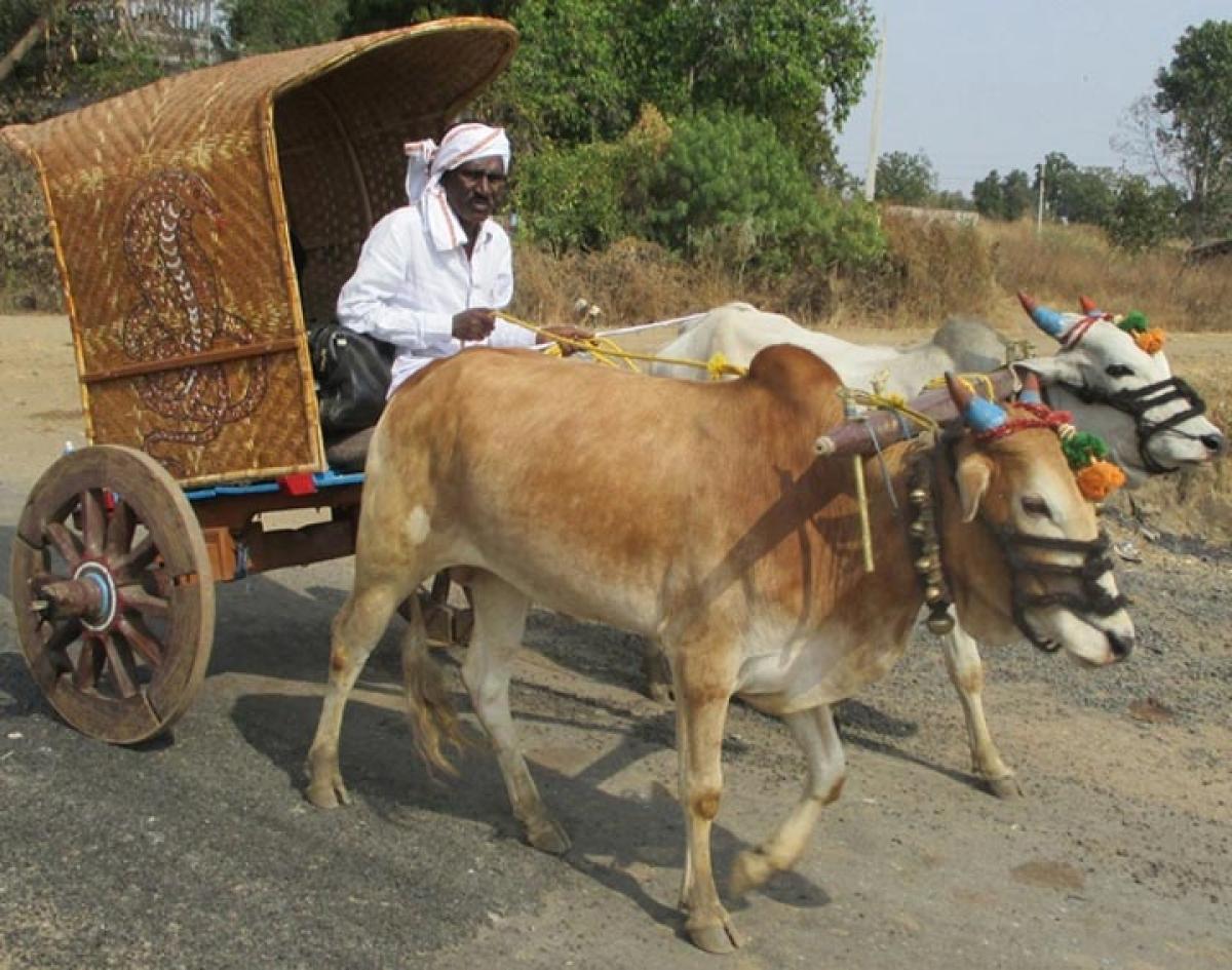 Mechanisation takes sheen off annual farm tool fair