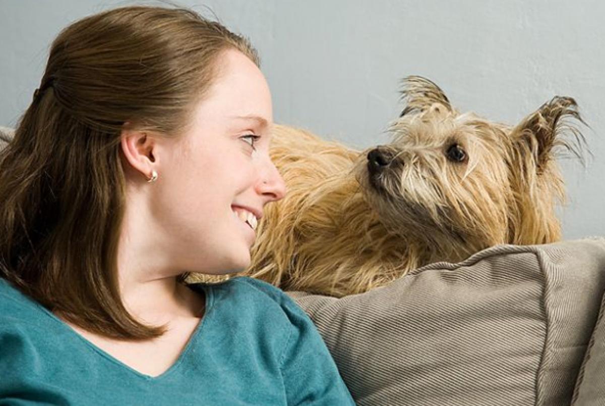 How dogs recognise human faces