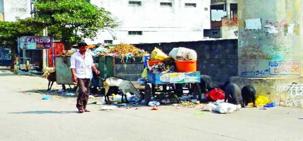 GWMC on a mission to get Clean City tag