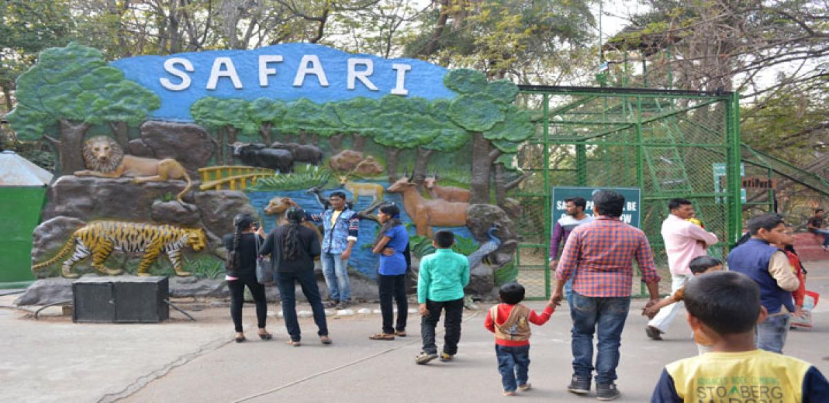 Visitors denied safari rides for want of a bus