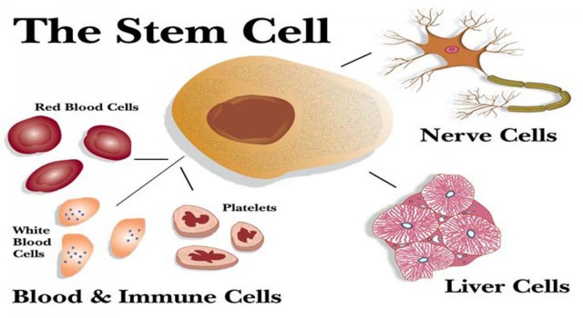 Stem-cell therapy