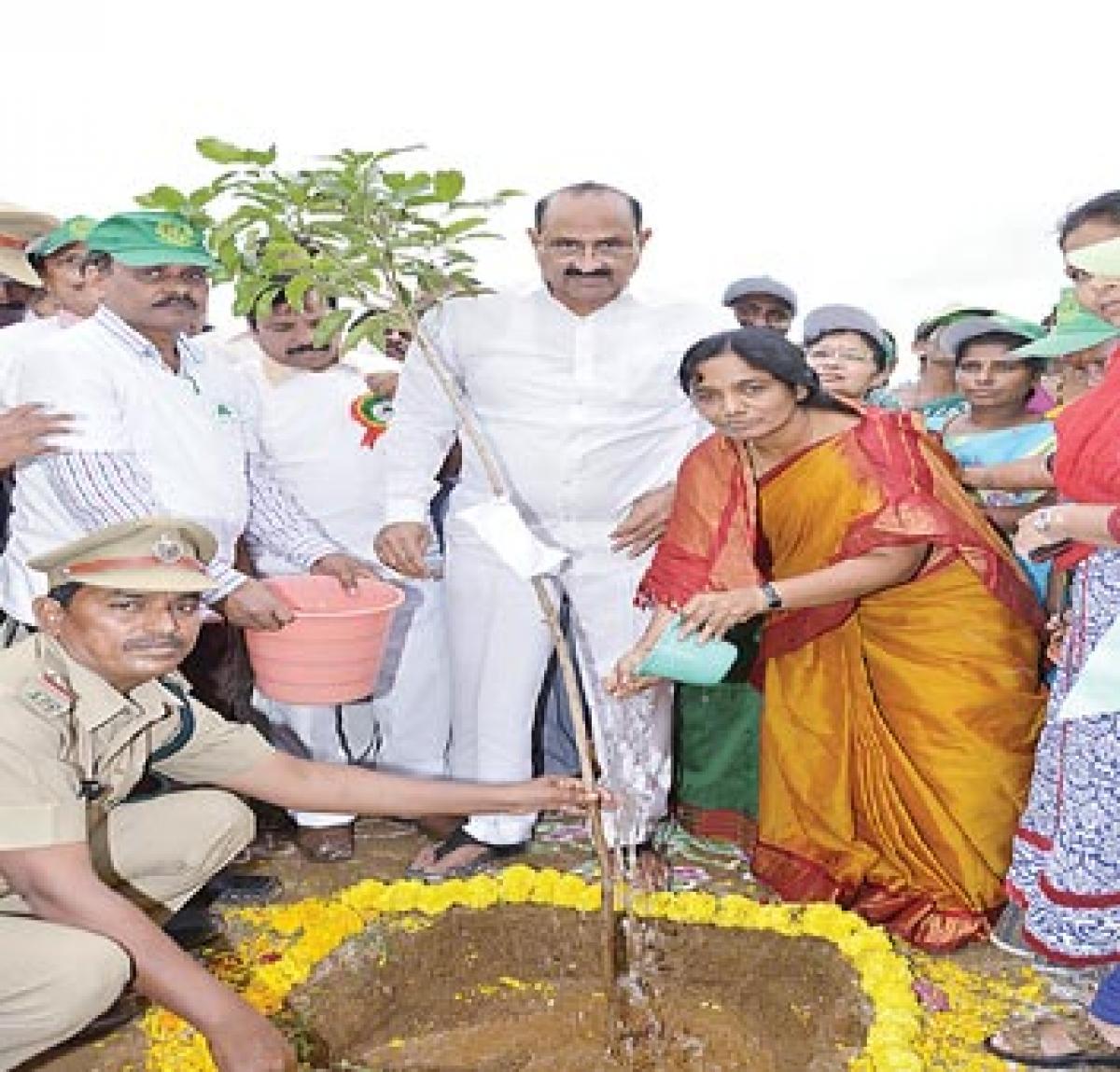 Plant trees, avert natural disasters: Ministers