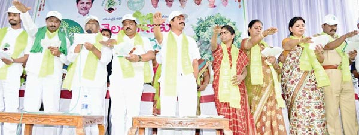 Haritha Haram II launched amid festive mood