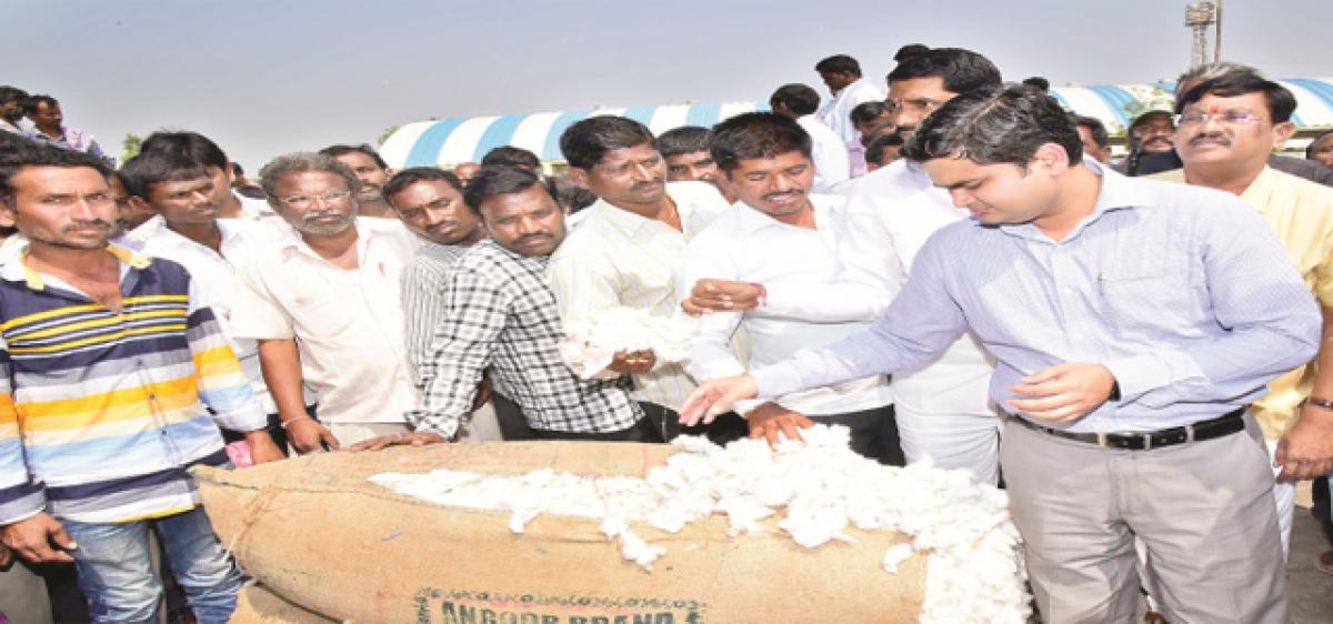 CCI to buy cotton if MSP is less