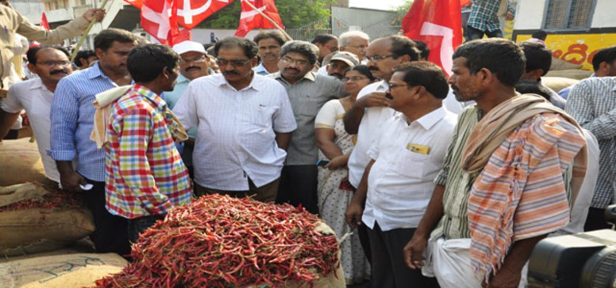 KCR Govt held responsible for fall in chilli prices