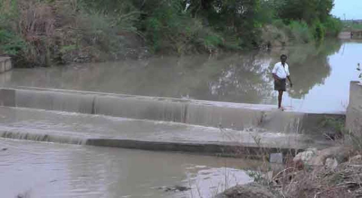 Farm pond experiment bearing fruits