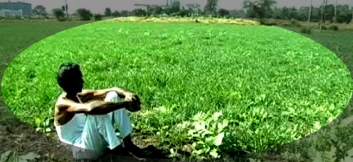 For Tamil Nadu farmers, Agricultural credit from formal institutions notoriously hard to secure