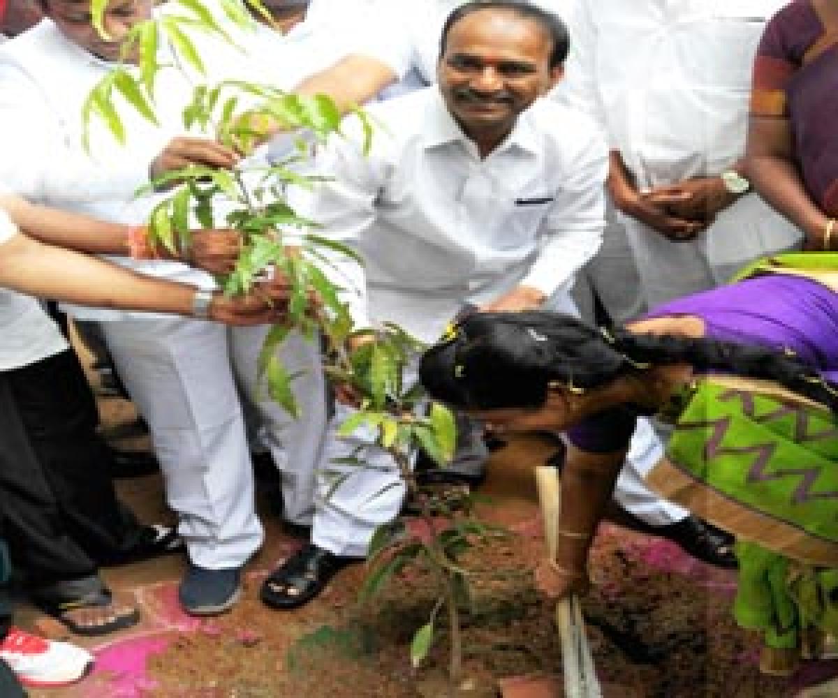 Plantation drive by Siddartha school.