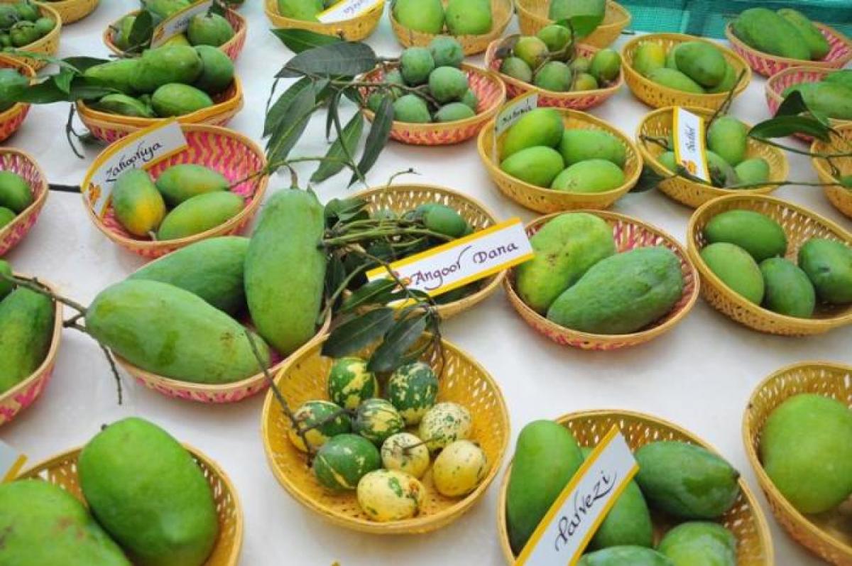 27th mango festival kick starts at Dilli Haat