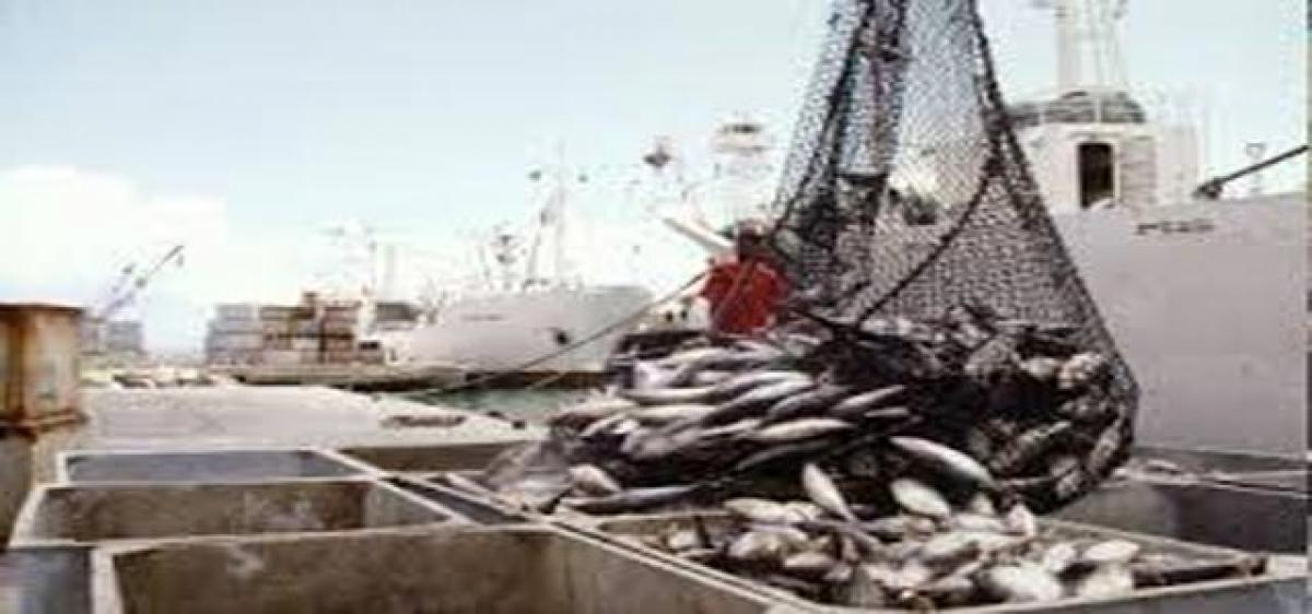 Fisheries Corporation in the pipeline