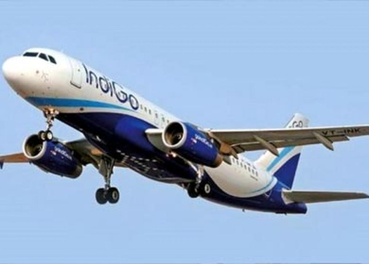 Indigo flight asks drunk passenger, wife to get down