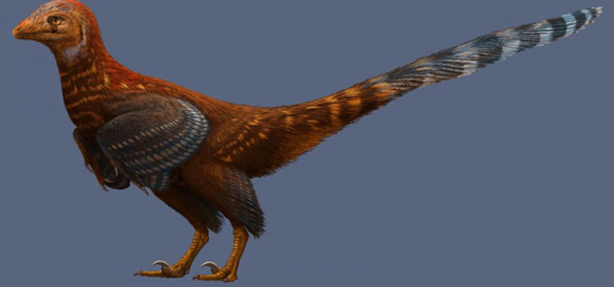 New species of bird-like dinosaur discovered in China