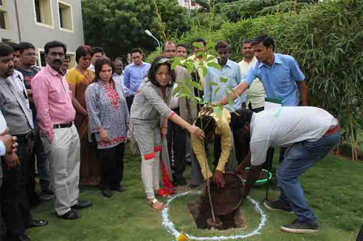 Haritha Haram at NITHM