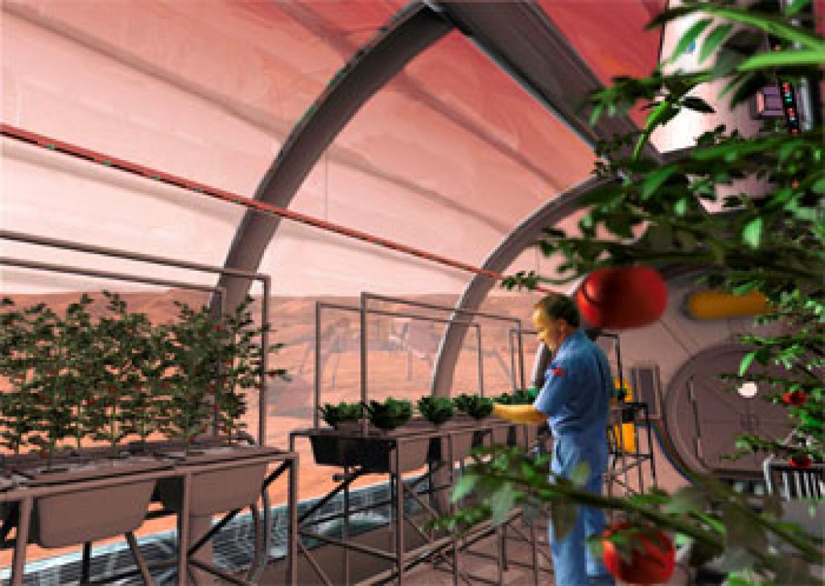 Learn how to grow food on Mars