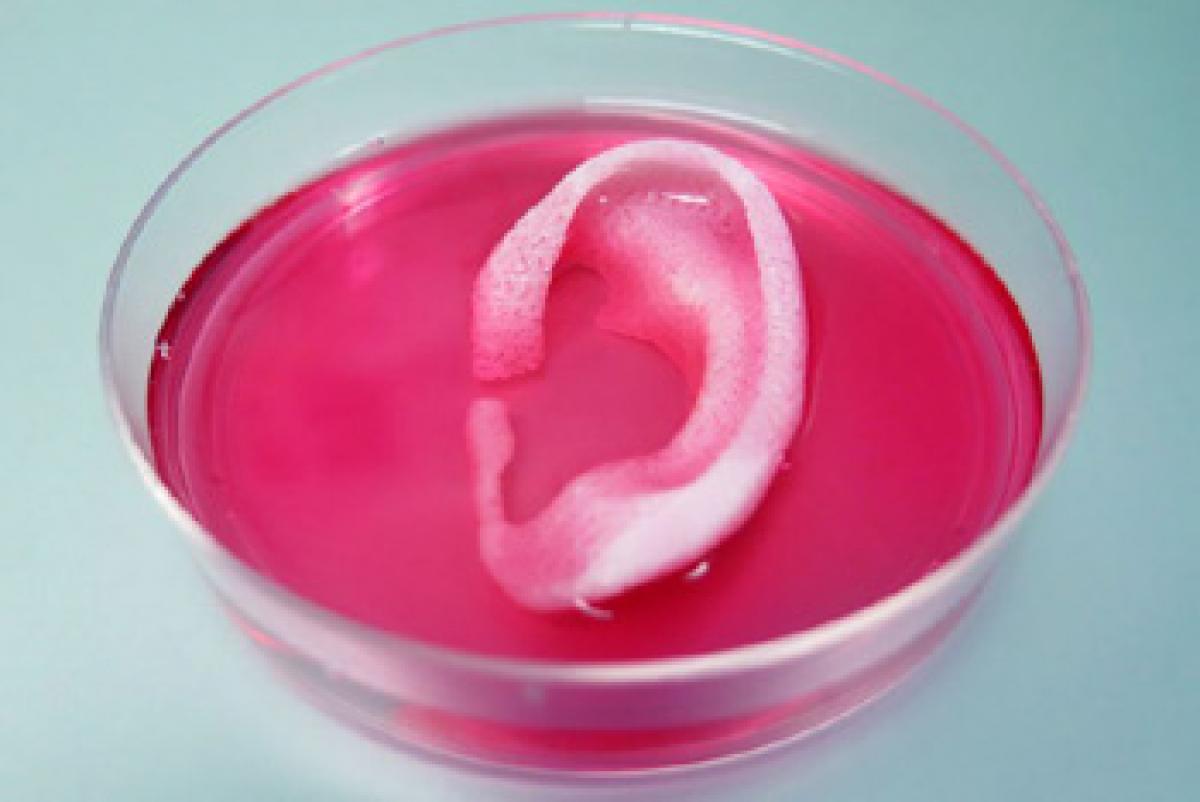 Scientists develop 3D printer capable of producing human tissue