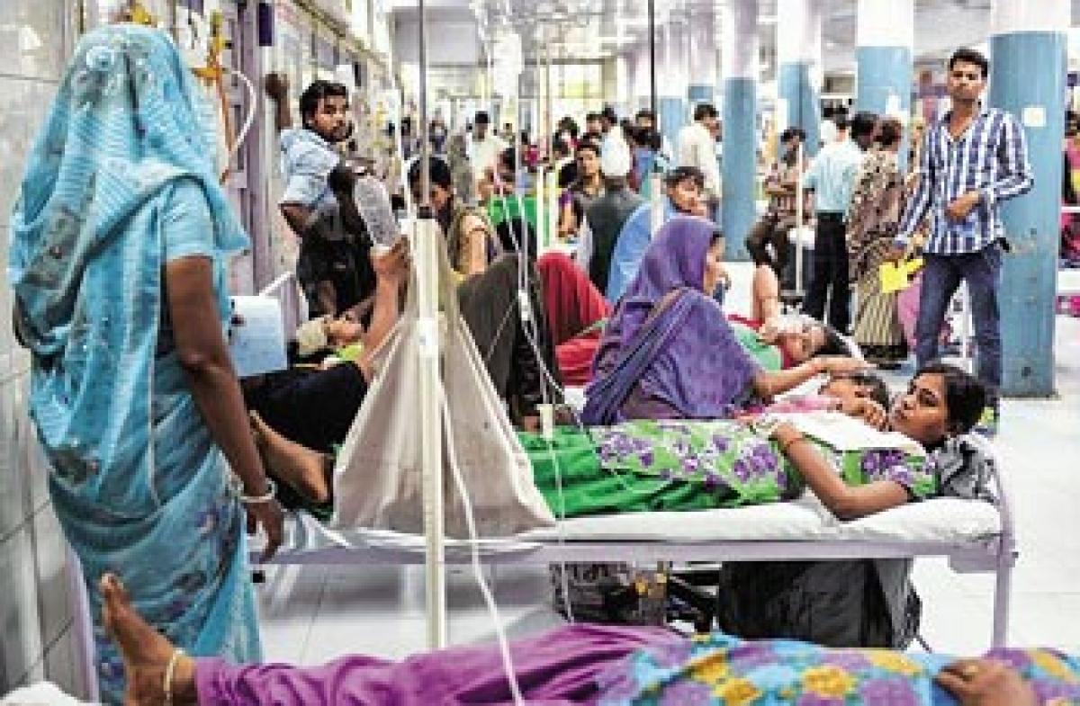 Dengue outbreak study shows up govt failures