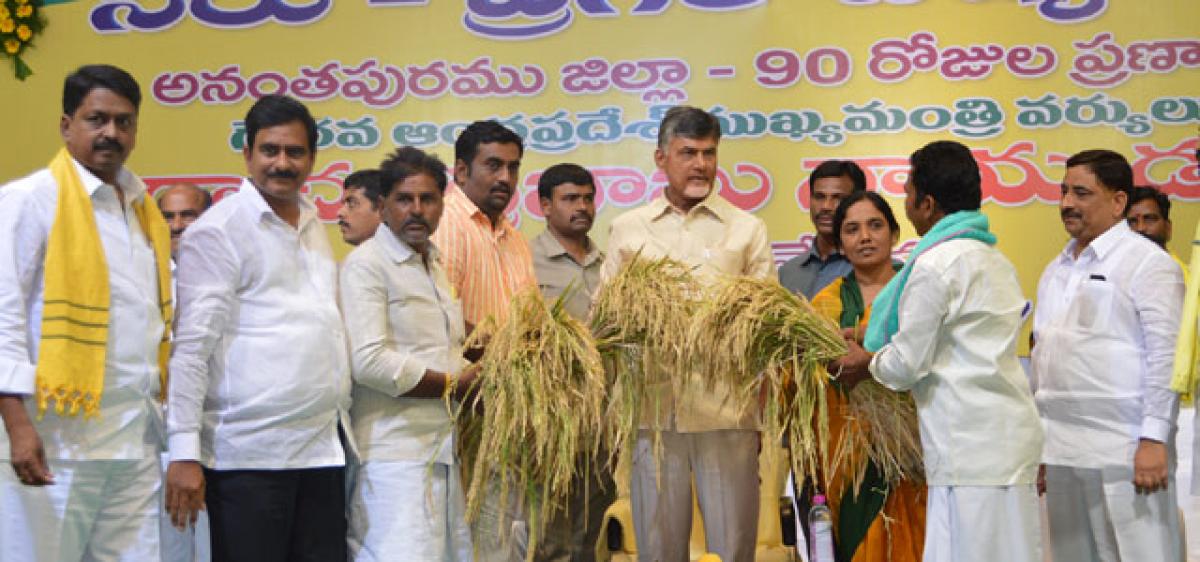 100 TMC ft of rainwater will be conserved: Naidu