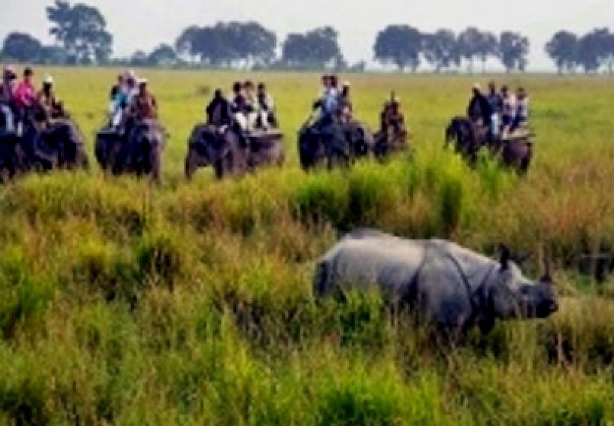 Two poachers gunned down in Kaziranga National Park