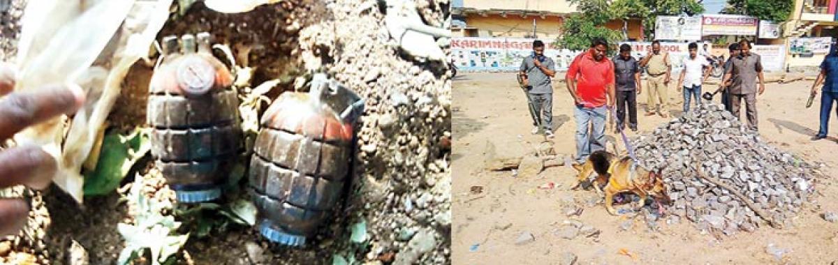 Grenades in trash pile create flutter