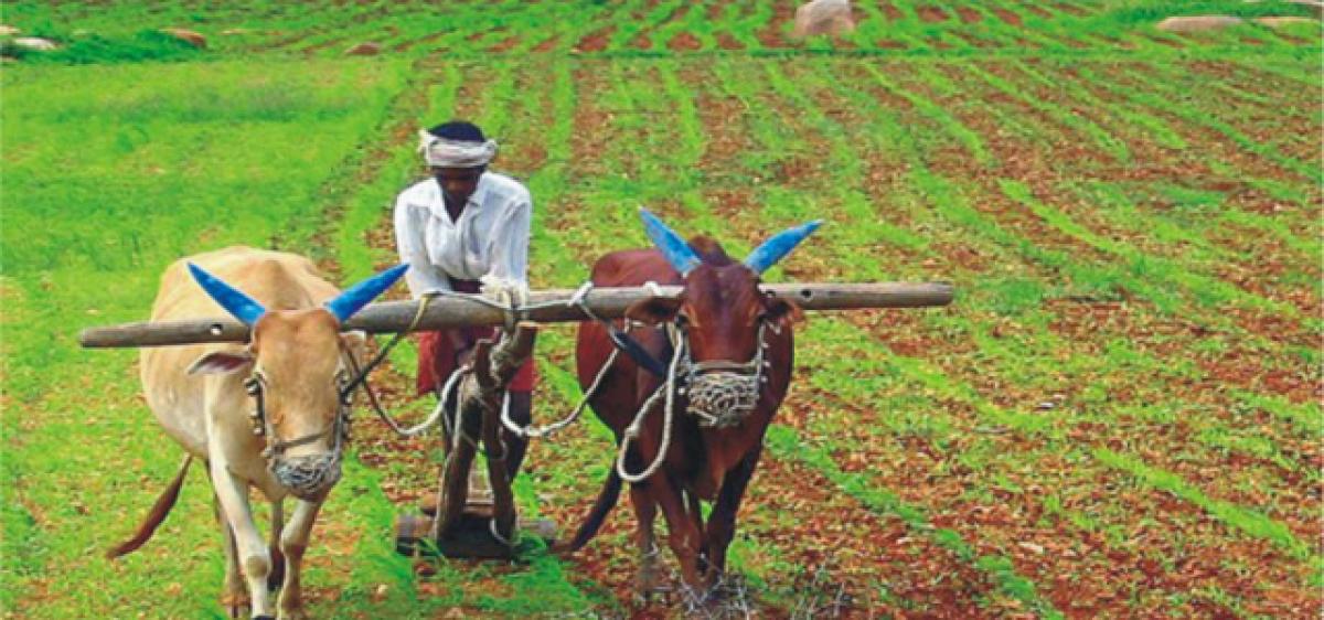 Governments compounding agrarian distress