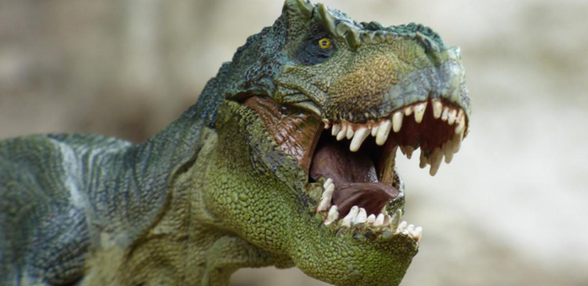 Not just asteroid impact, deadly malaria too killed dinosaurs