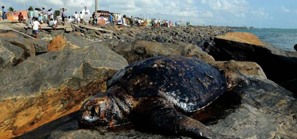 Chennai Oil spill- Environment loses to bureaucracy