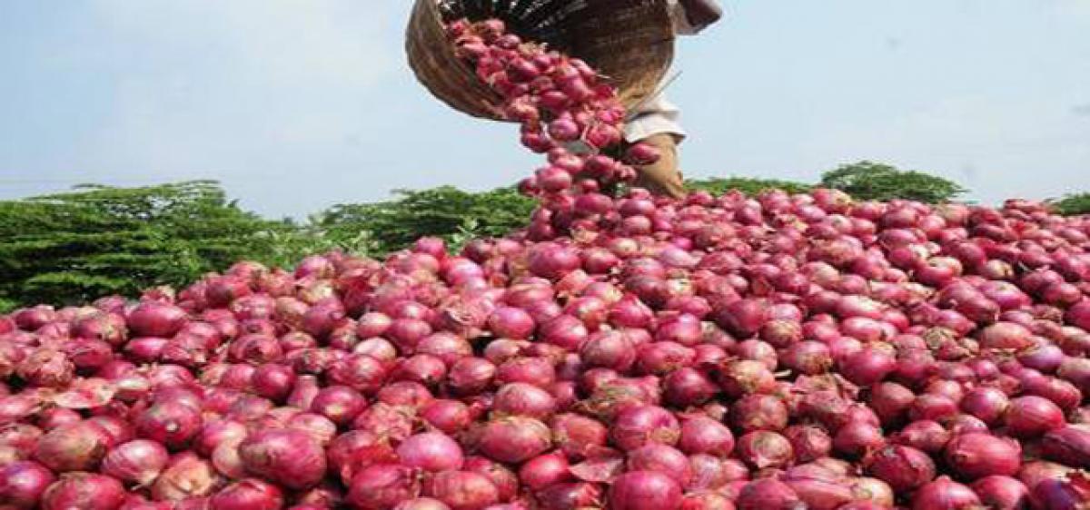 Onion still makes Kurnool farmers cry