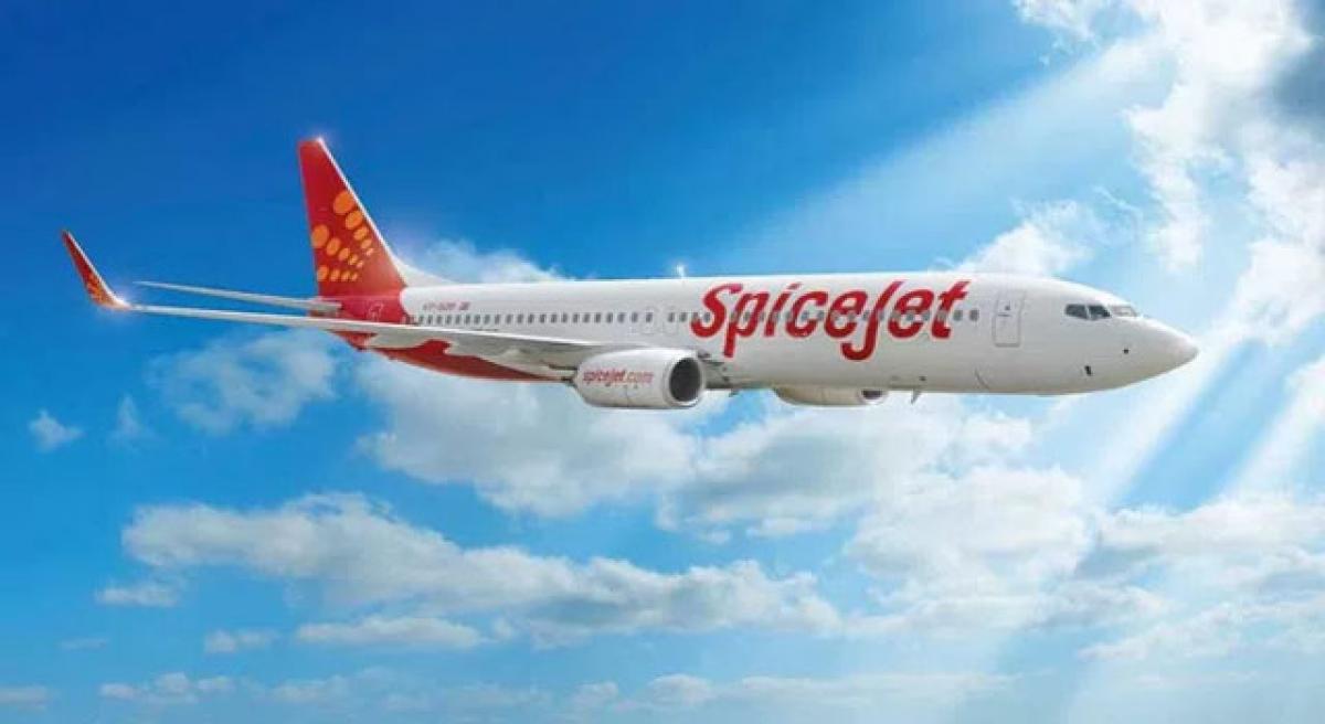 SpiceJet to operate 8 new flights