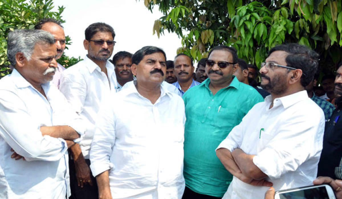 Agri Minister checks horticulture crops