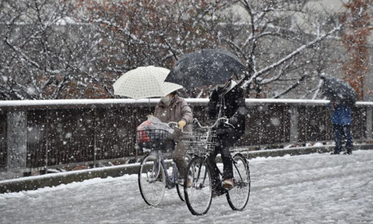 Tokyo hit by snow in November for first time in 54 years