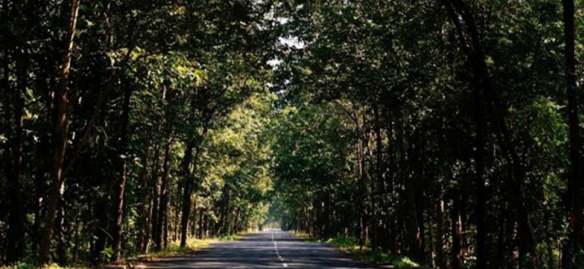 Debt ridden Karnataka farmer in forced exile in forest