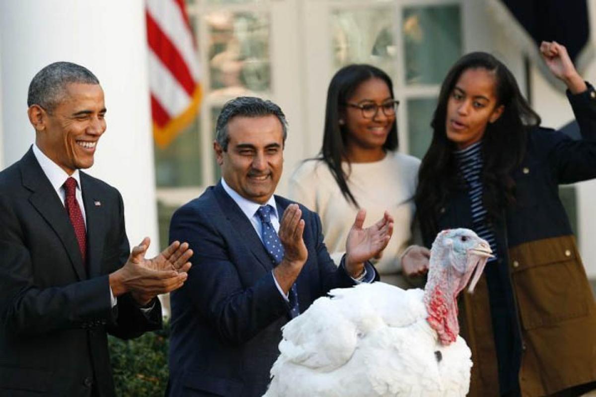 Fierce competition between bunch of turkeys trying to win their way into White House: Obama