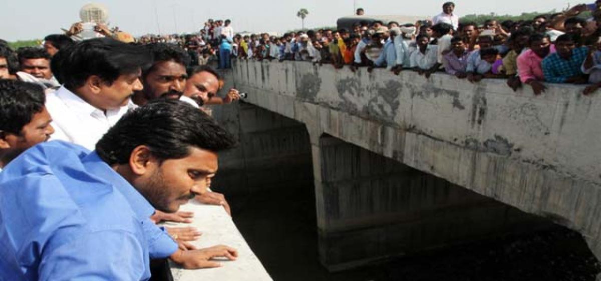 YS Jagan seeks post-mortem reports, flies into a rage