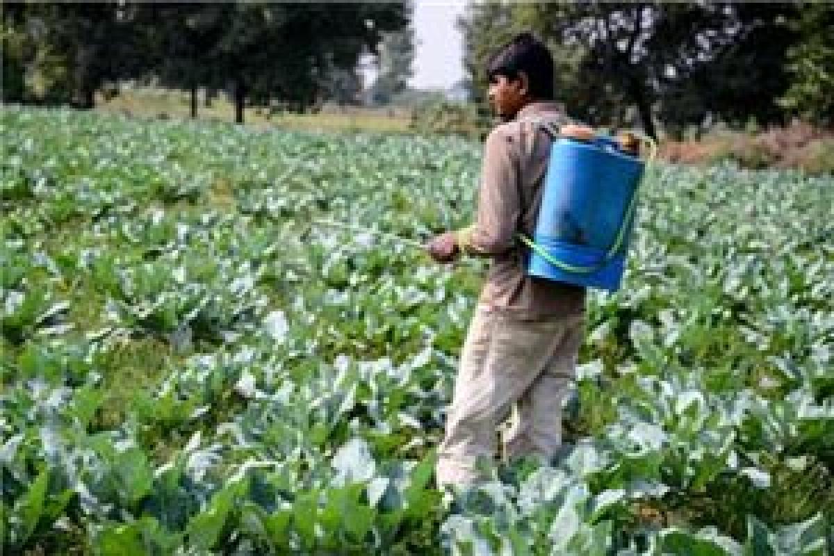 All pesticides harmful; Govt bans only a few  